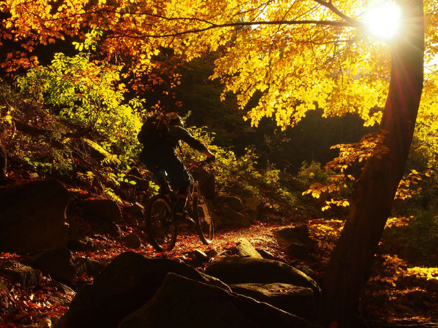 Rychleby - podzim 2015 s Rowanem Sorrellem