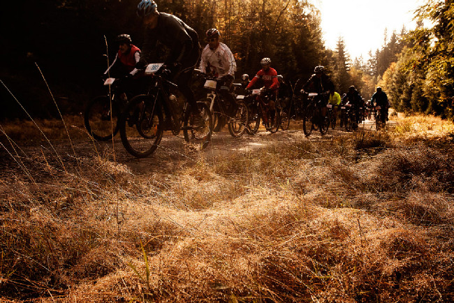 Jubilejní 20. ročník ČT Author Cup 2015