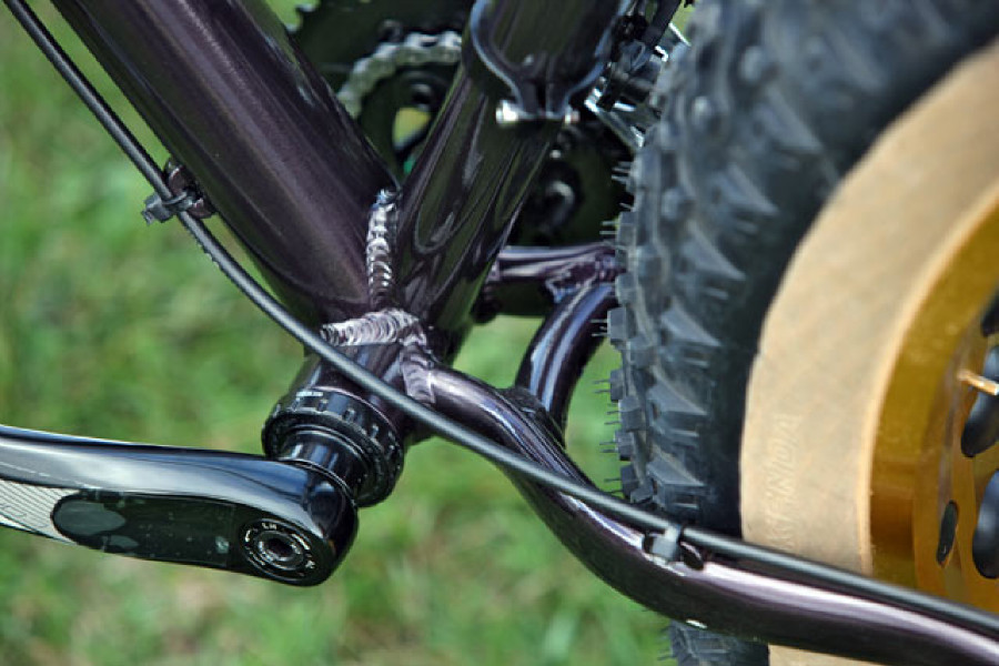 Mongoose Argus Expert