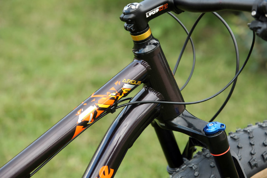 Mongoose Argus Expert