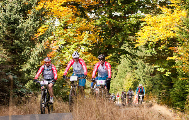 Jubilejní 20. ročník ČT Author Cup 2015