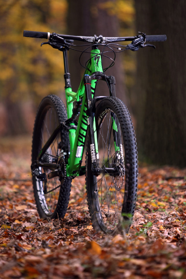 Specialized SJ FSR Comp 29