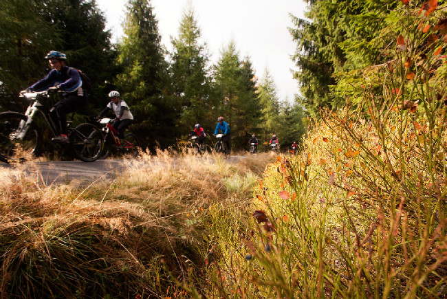 Jubilejní 20. ročník ČT Author Cup 2015