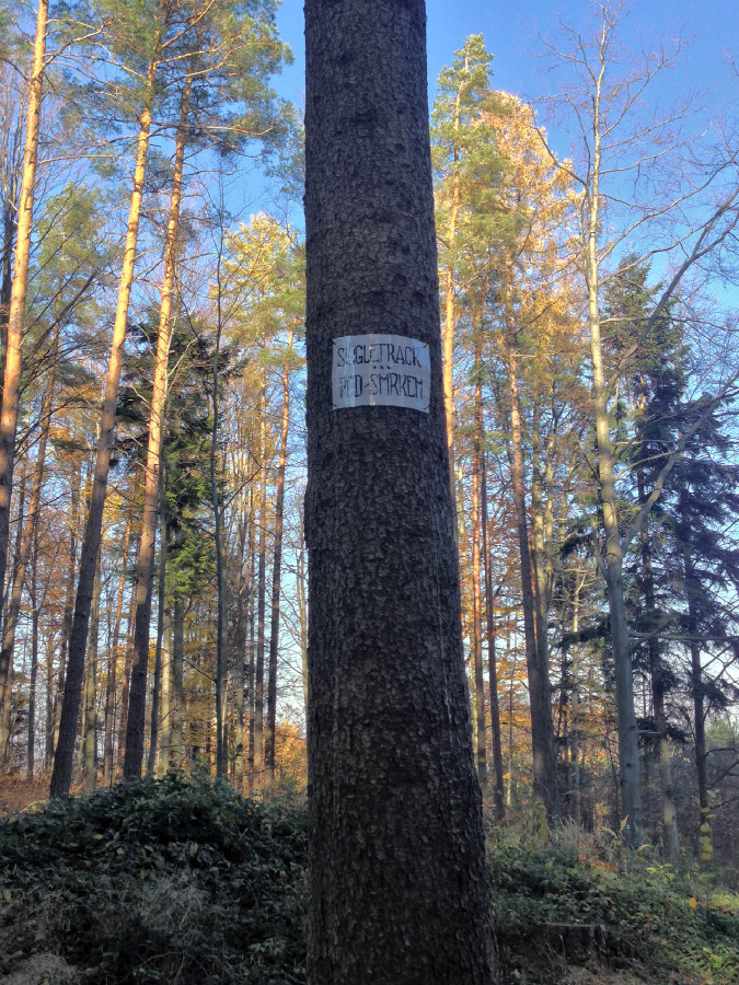 Rychleby - podzim 2015