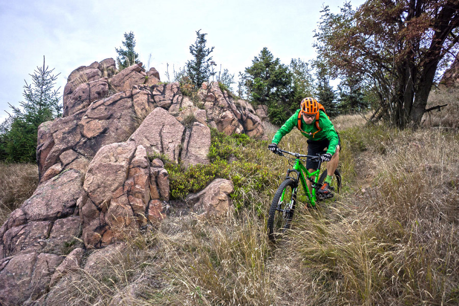 Specialized SJ FSR Comp 29