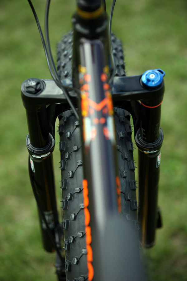 Mongoose Argus Expert