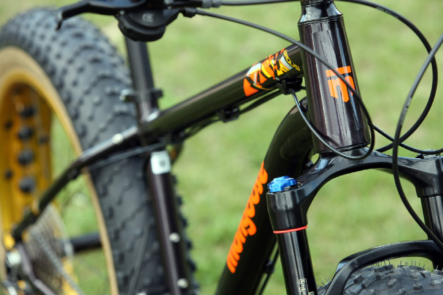 Mongoose Argus Expert