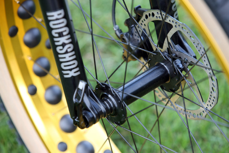 Mongoose Argus Expert