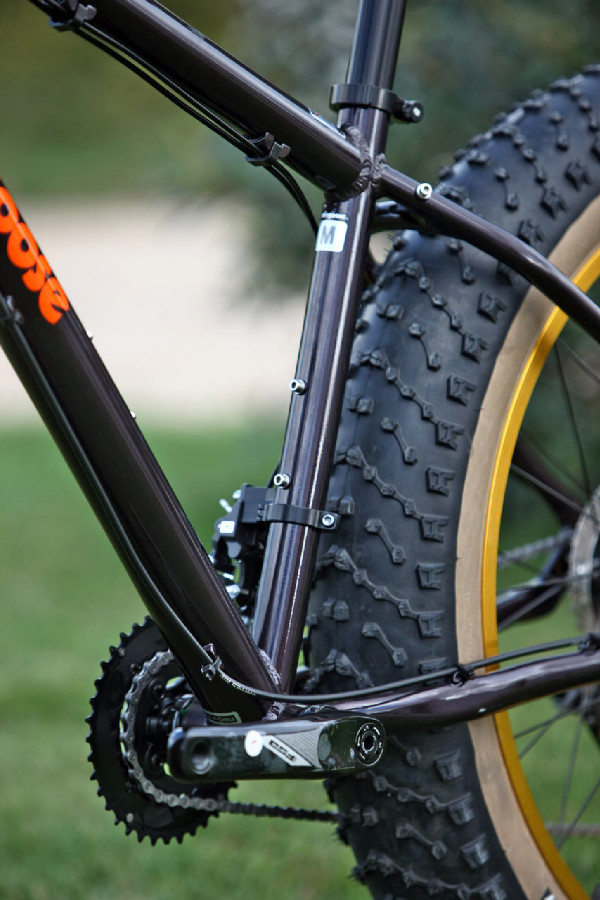 Mongoose Argus Expert