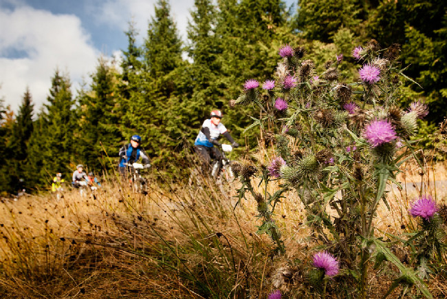 Jubilejní 20. ročník ČT Author Cup 2015