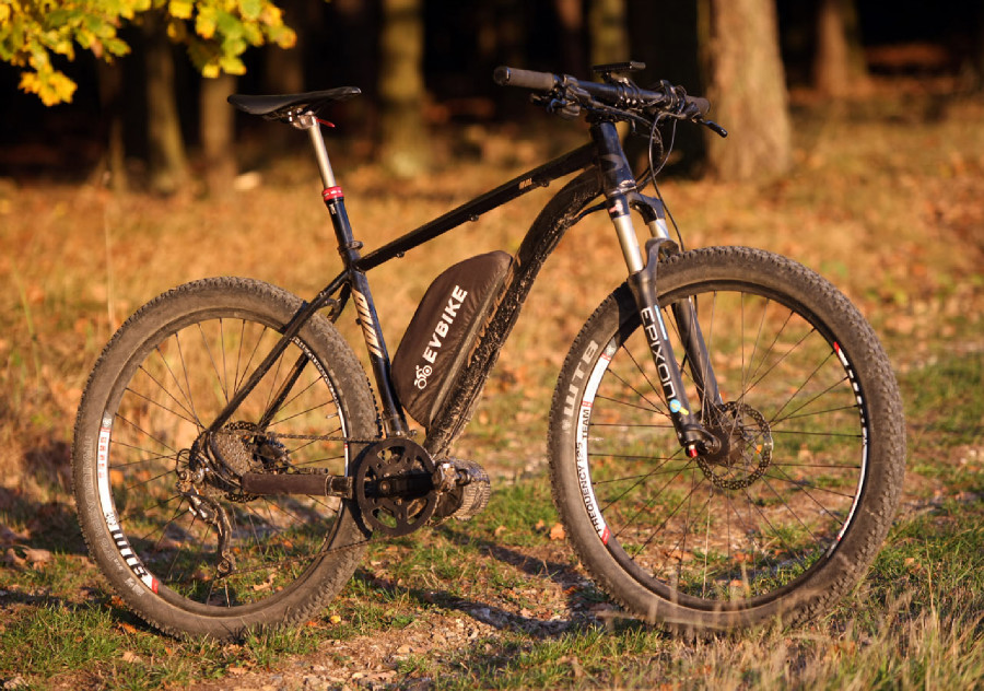 Amulet e-Rival 650B+