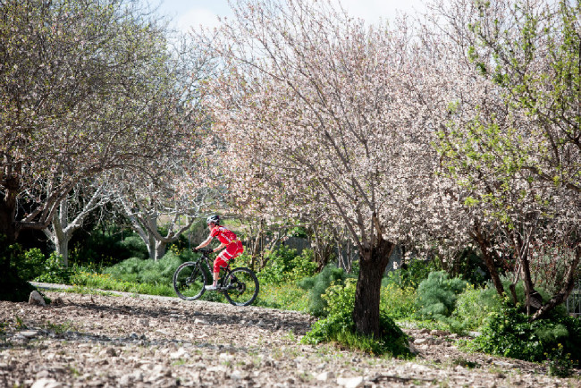 Sunshine Cup #1 - Bára Průdková mezi rozkvetlými mandlovníky