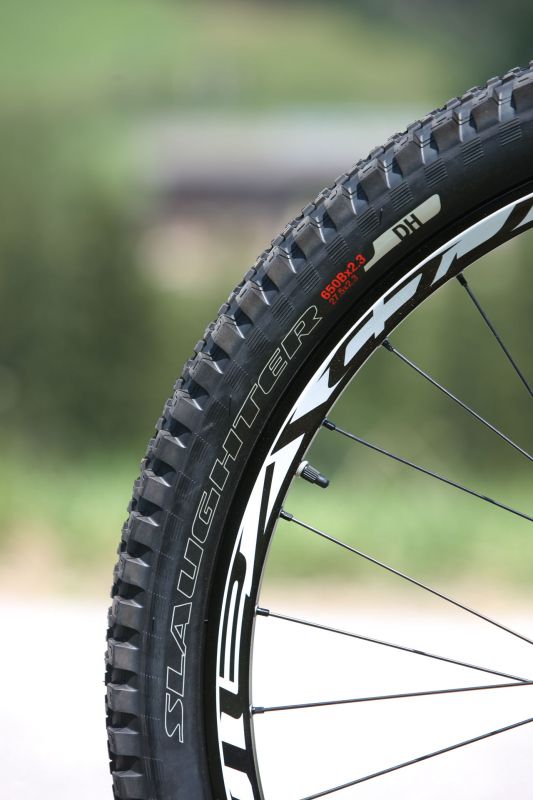 Specialized S-Works Demo 8