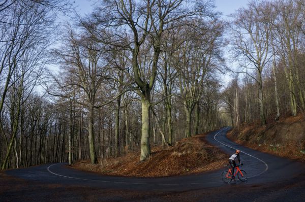 Superior X-Road Team Issue