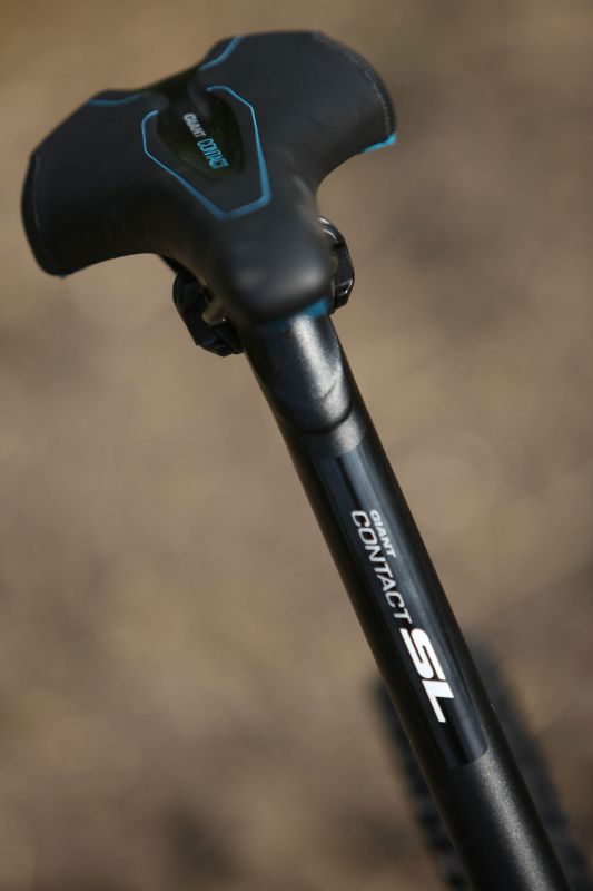 Giant Anthem X Advanced 29ER