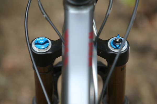 Canyon Nerve AL 9.9 LTD