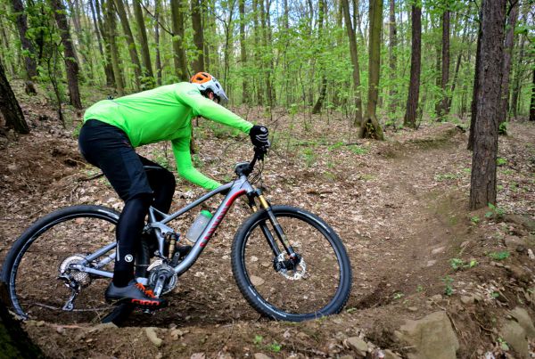 Canyon Nerve AL 9.9 LTD