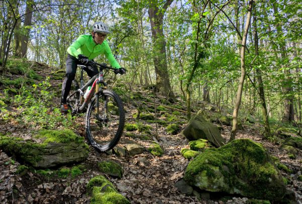 Canyon Nerve AL 9.9 LTD