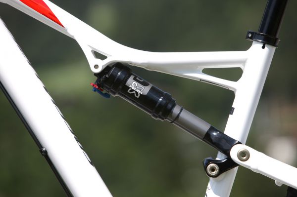 Specialized Camber 29