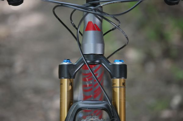 Canyon Nerve AL 9.9 LTD