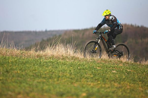 Camber Expert Carbon 29