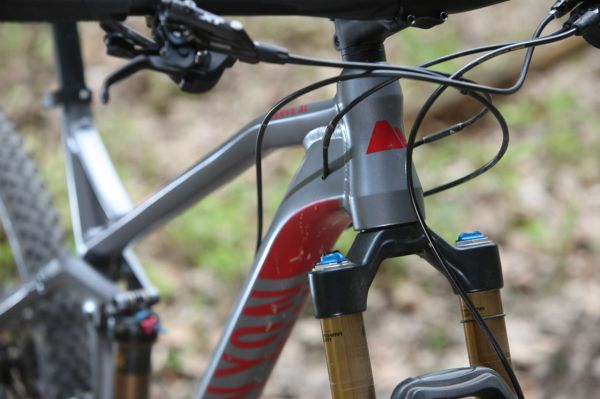 Canyon Nerve AL 9.9 LTD