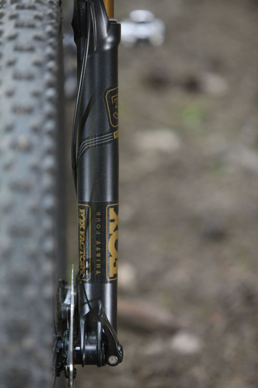 Canyon Nerve AL 9.9 LTD