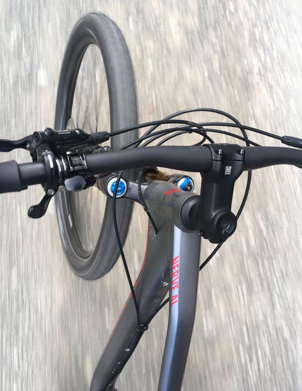 Canyon Nerve AL 9.9 LTD