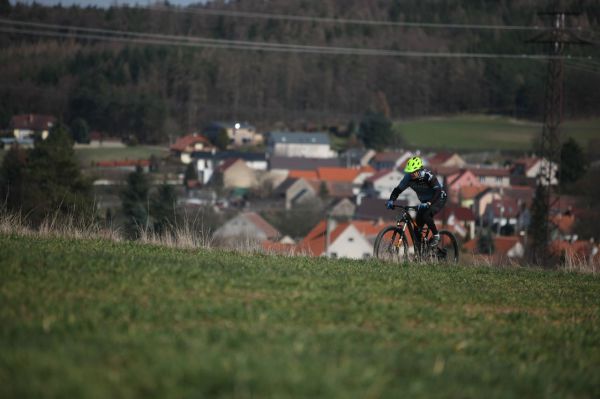 Camber Expert Carbon 29