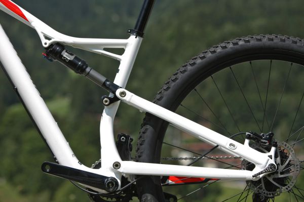 Specialized Camber 29