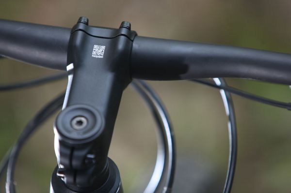 Canyon Nerve AL 9.9 LTD