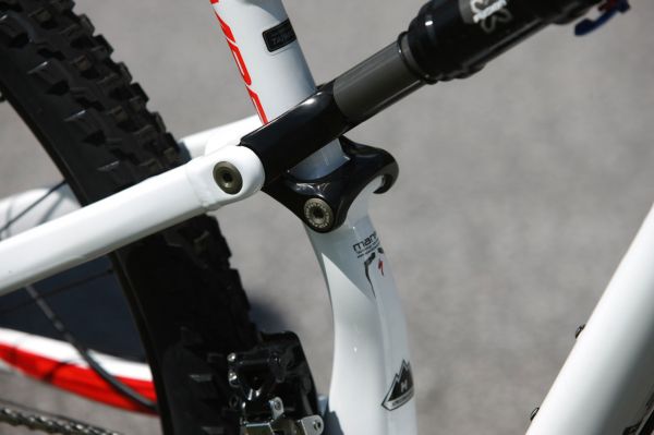 Specialized Camber 29