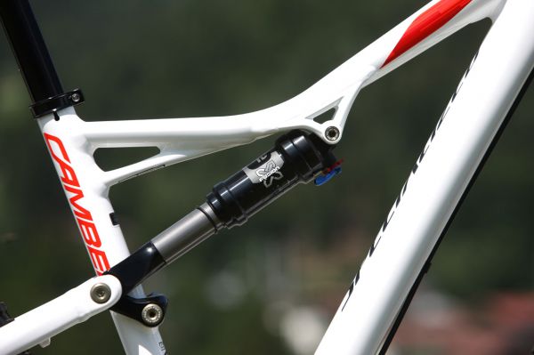 Specialized Camber 29