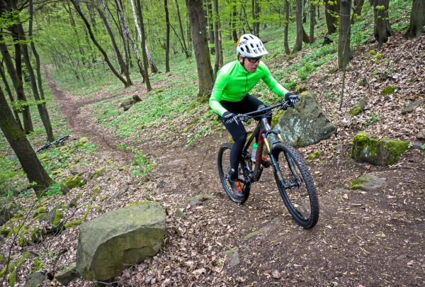 Canyon Nerve AL 9.9 LTD