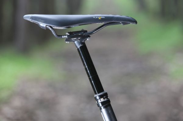 Canyon Nerve AL 9.9 LTD