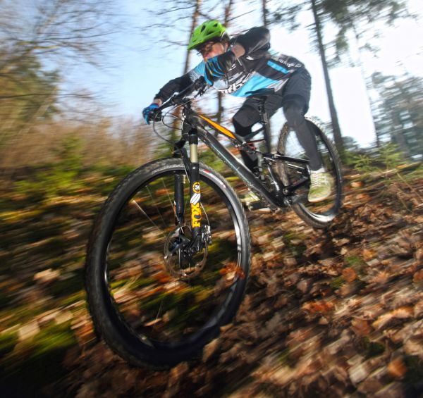 Camber Expert Carbon 29