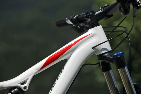 Specialized Camber 29