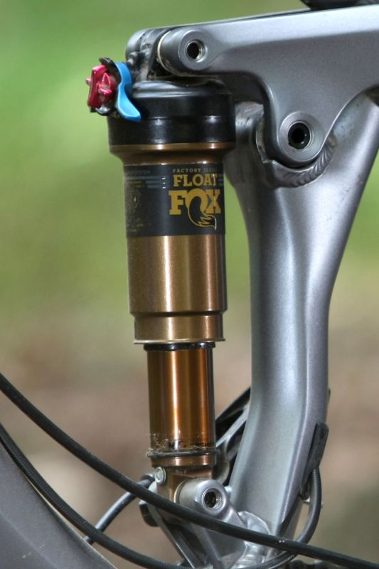 Canyon Nerve AL 9.9 LTD