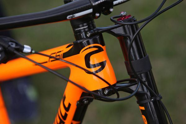 Fotogalerie: Cannondale FSi Carbon 2