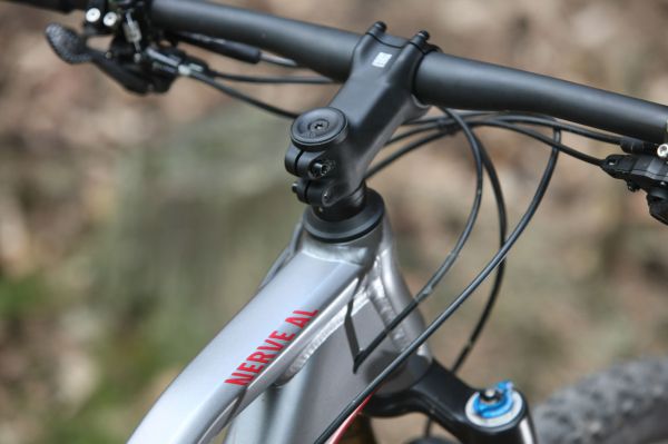 Canyon Nerve AL 9.9 LTD