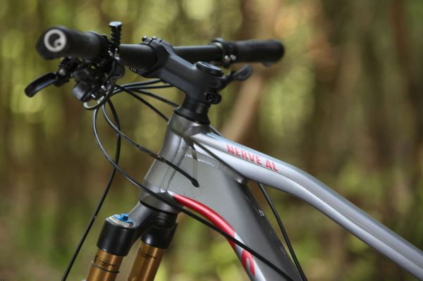 Canyon Nerve AL 9.9 LTD