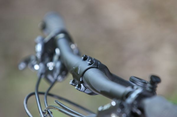 Canyon Nerve AL 9.9 LTD