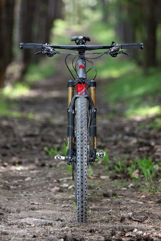 Canyon Nerve AL 9.9 LTD