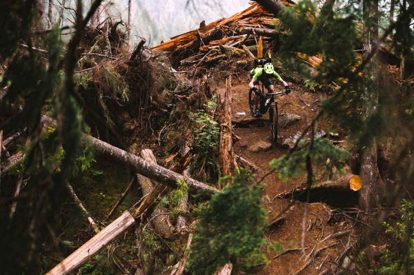 Trek Fuel EX 29" 2017