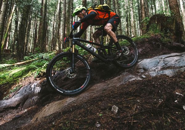 Trek Fuel EX 29" 2017