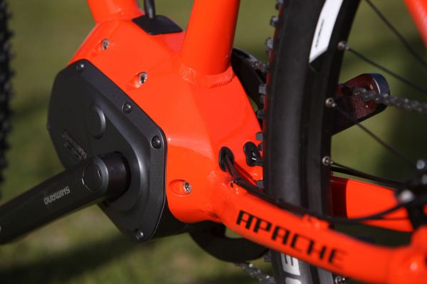 Apache Manitou STEPS