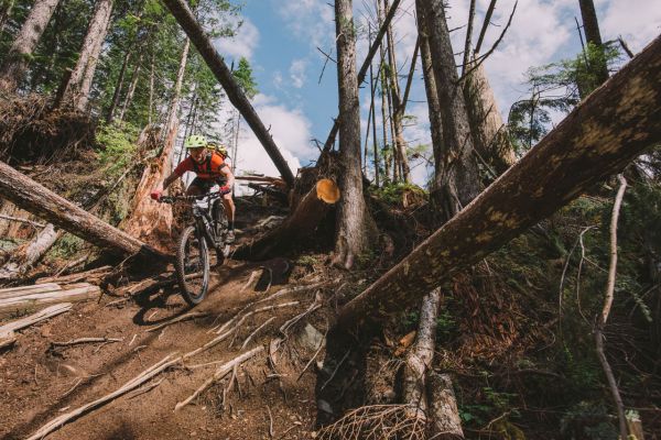 Trek Fuel EX 29" 2017