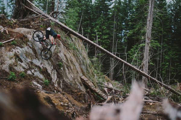 Trek Fuel EX 29" 2017