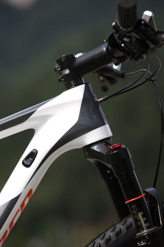 Specialized Stumpjumper Elite Carbon 29 World Cup