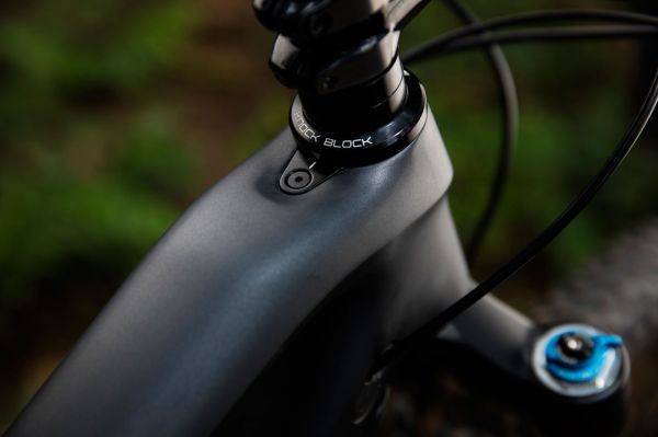 Trek Fuel EX 29" 2017